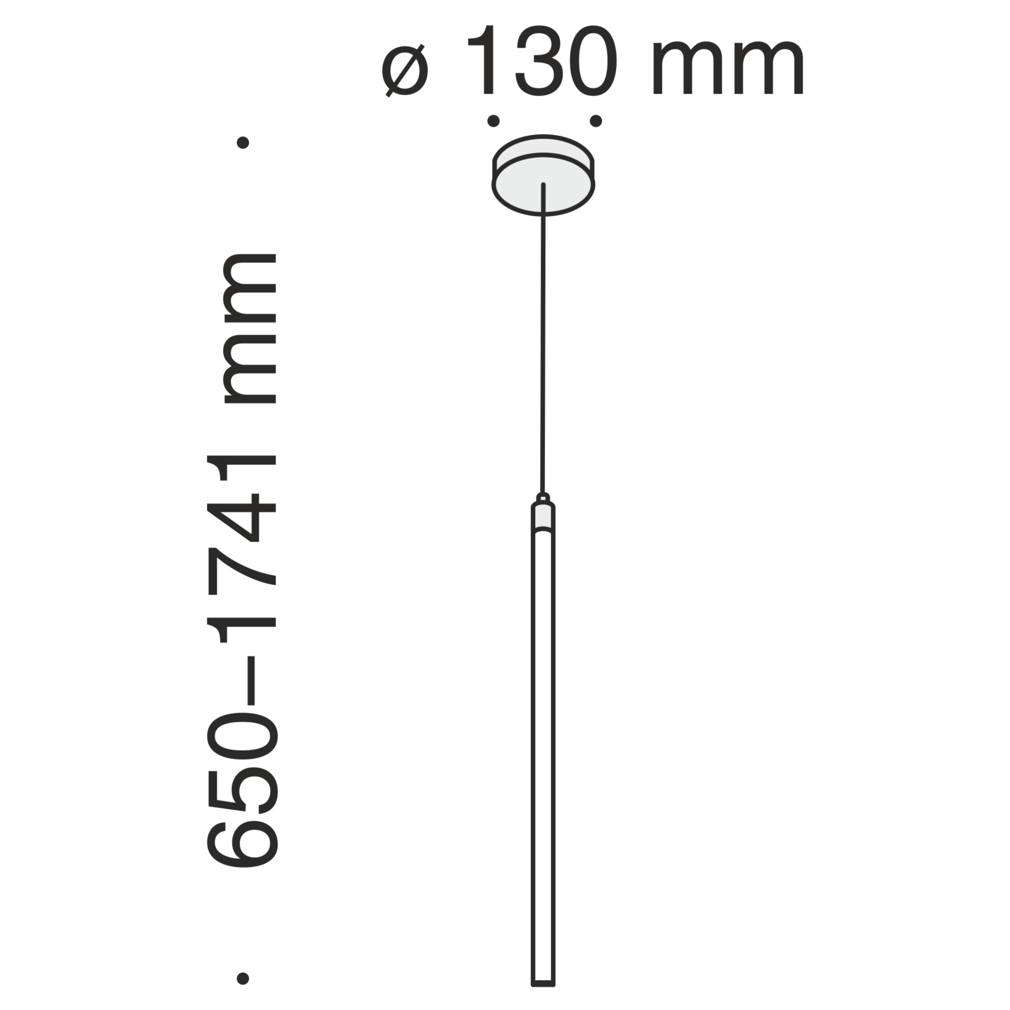 Подвесной светильник Maytoni Technical Ray P021PL-L10B