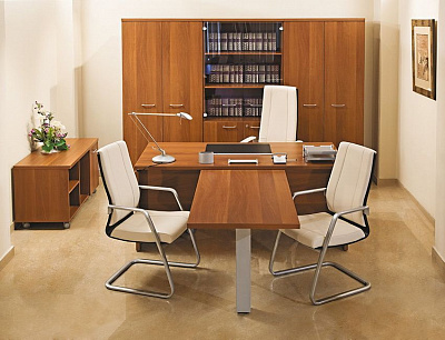 Мебель в кабинет руководителя Патриот