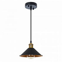 Подвесной светильник ARTE LAMP CAPPELLO A7037SP-1BK