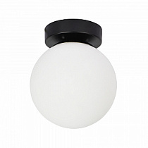 Потолочный светильник ARTE LAMP ALCOR A2224PL-1BK