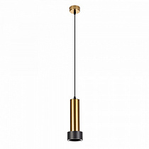 Подвесной светильник ARTE LAMP RAN A3147SP-1PB