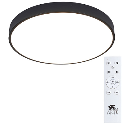 Потолочный светильник ARTE LAMP ARENA A2672PL-1BK