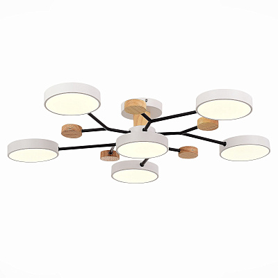 Люстра на штанге EVOLUCE FAEMA / ФАЕМА SLE6006-502-06